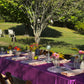 Reset, Rhythm & Restoration: An Immersive Ayurvedic Farm-to-Table Retreat