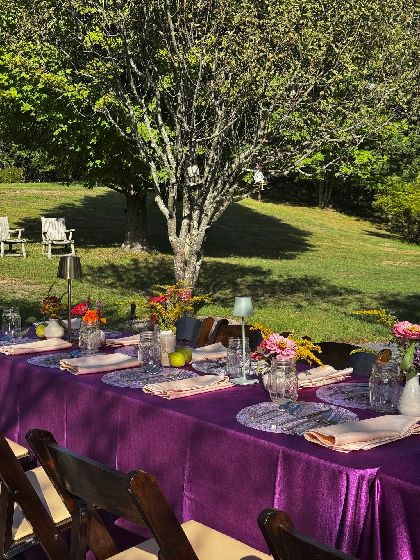 Reset, Rhythm & Restoration: An Immersive Ayurvedic Farm-to-Table Retreat