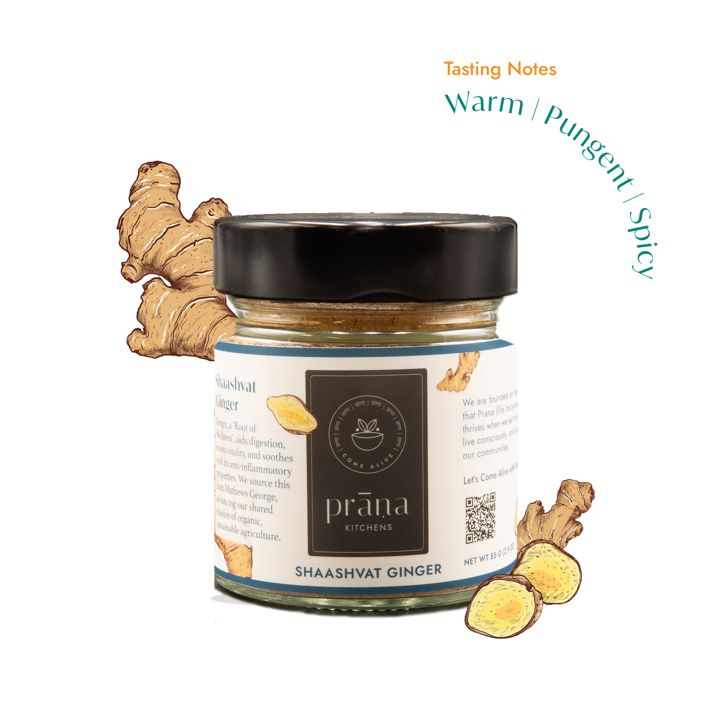 Shaashvat Ginger